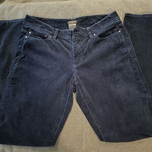 Ann Taylor Navy Corduroy Straight Leg Jeans